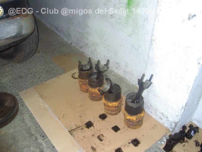 Eduardo B-114.410 034.jpg